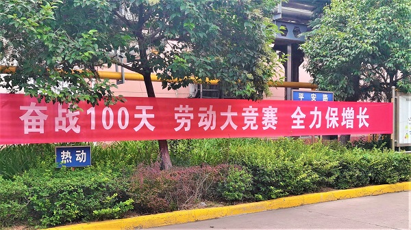 ^(zhn)100   ڄӴِ   ȫL