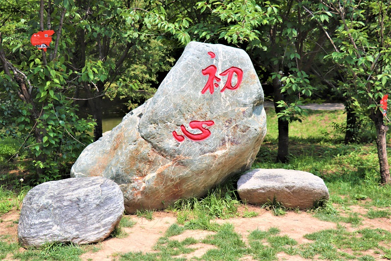 ׌tɫ񼤄(l)T(chung)?lin)?dng)О